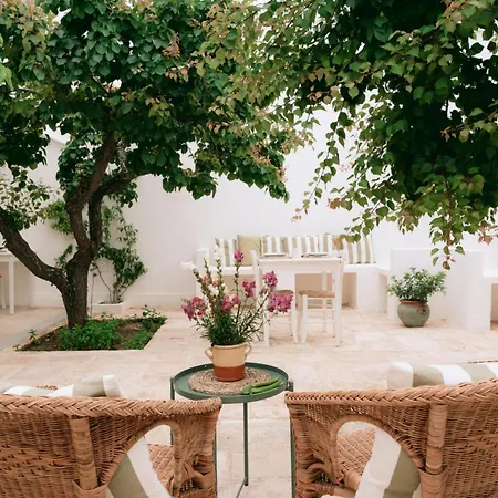 Oltre Gli Ulivi B&B 오스투니