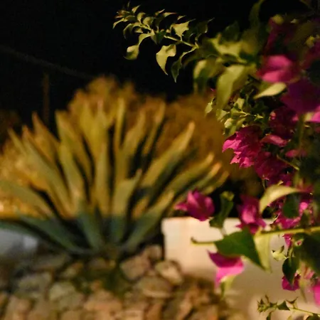 Bed & Breakfast Oltre Gli Ulivi Ostuni