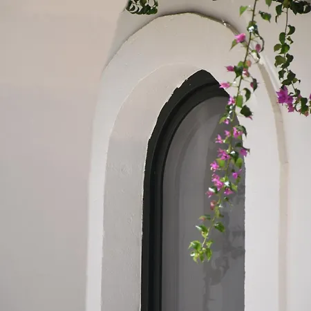 Oltre Gli Ulivi Bed & Breakfast