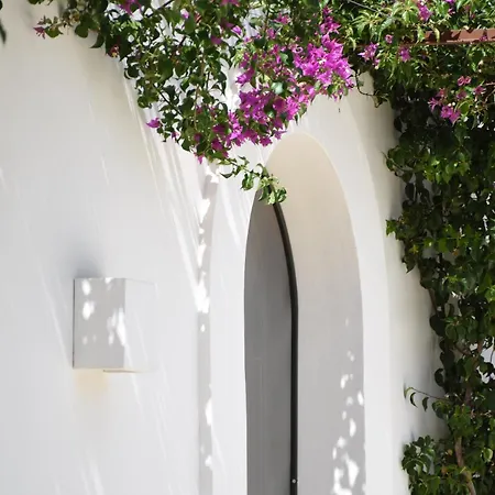 Oltre Gli Ulivi Bed & Breakfast