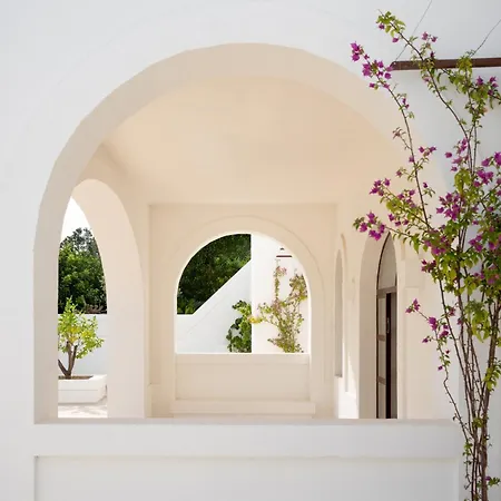 Oltre Gli Ulivi B&B 오스투니