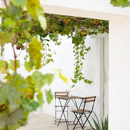 B&B Oltre Gli Ulivi 오스투니