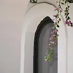 Oltre Gli Ulivi Oda ve Kahvaltı