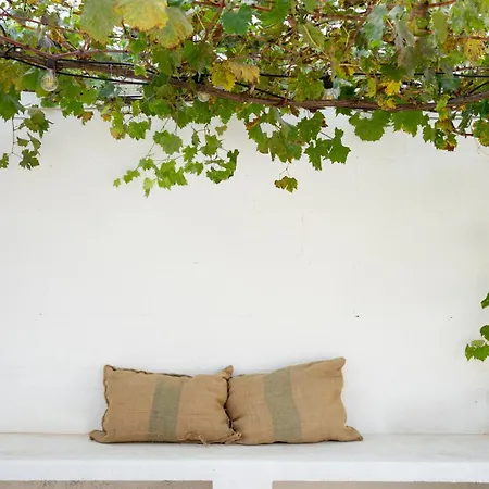 Oltre Gli Ulivi Bed & Breakfast *