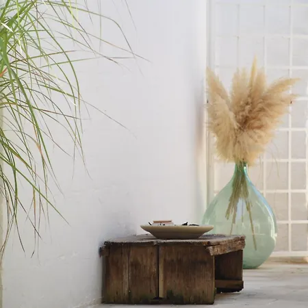 לינה וארוחת בוקר Oltre Gli Ulivi אוסטוני