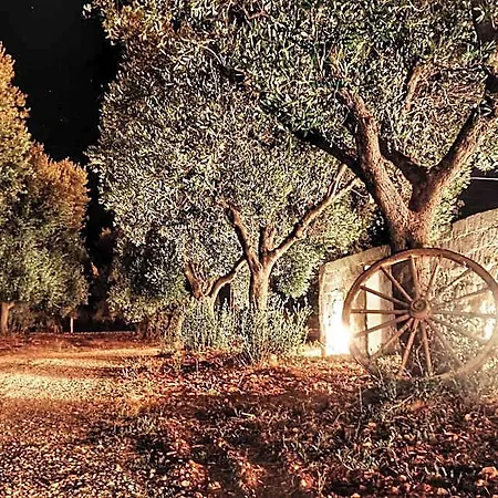 Oltre Gli Ulivi Bed & Breakfast
