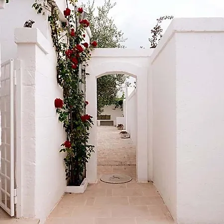 Bed & Breakfast Oltre Gli Ulivi 4*