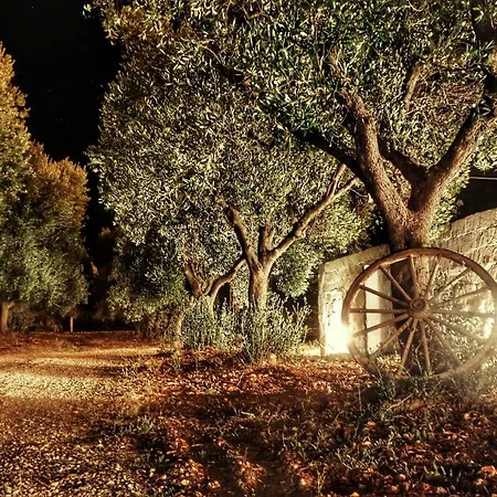 Oltre Gli Ulivi Bed & Breakfast