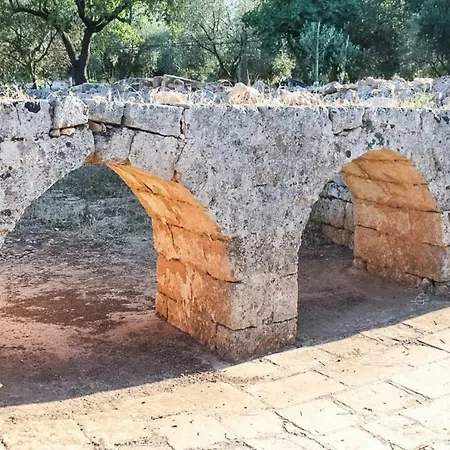 Oltre Gli Ulivi