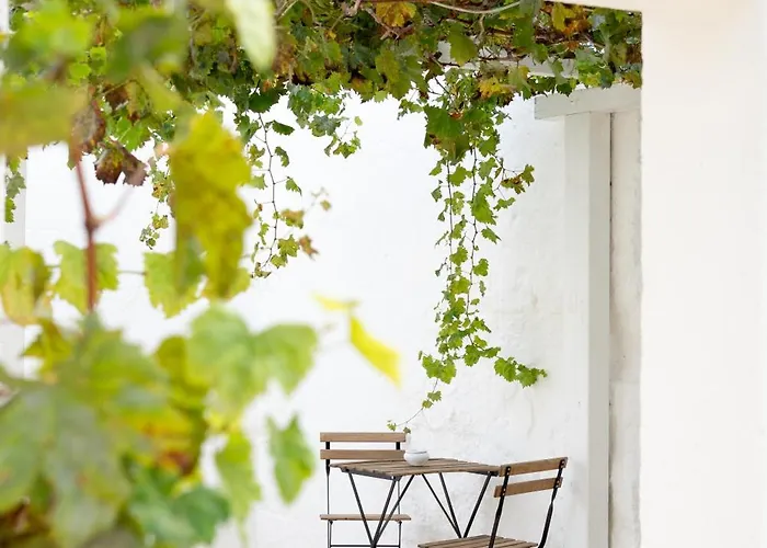 B&B Oltre Gli Ulivi 오스투니