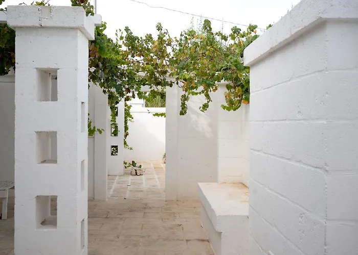 Oltre Gli Ulivi B&B 오스투니