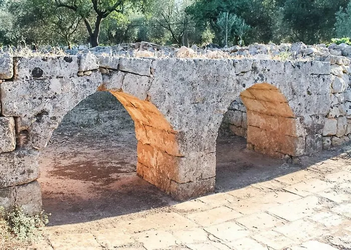 Oltre Gli Ulivi